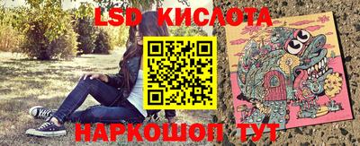 ECSTASY Новодвинск