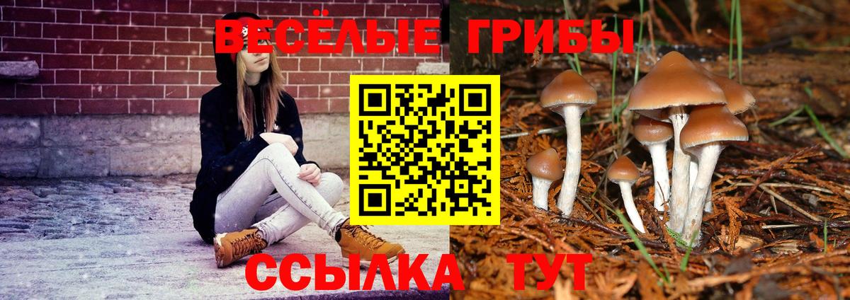 Лиски  Псилоцибиновые грибы MAGIC MUSHROOMS  Вход с VPN 